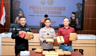Polres Jember Tangkap Kurir Narkoba Lintas Pulau, 10 Kg Ganja Disita