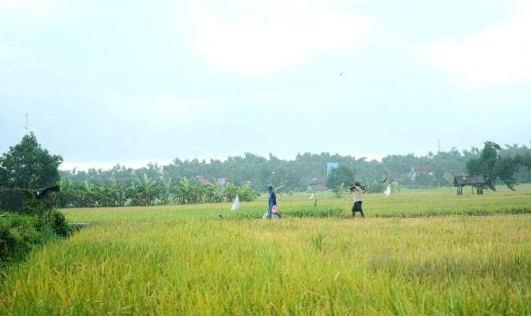 Terkait Arahan Mentan SYL, Wakil Bupati Subang Siap Dampingi Petani Hadapi Kemarau Panjang El Nino
