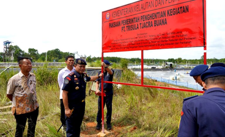 Tak Sesuai Ketentuan, KKP Hentikan Operasional Tambak Udang di Batam