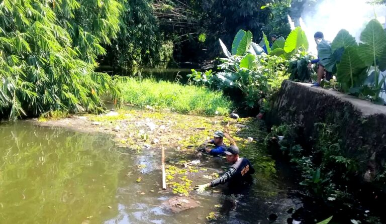 Dipenuhi Tumbuhan Liar, Situ Bojongsari Depok Dibersihkan