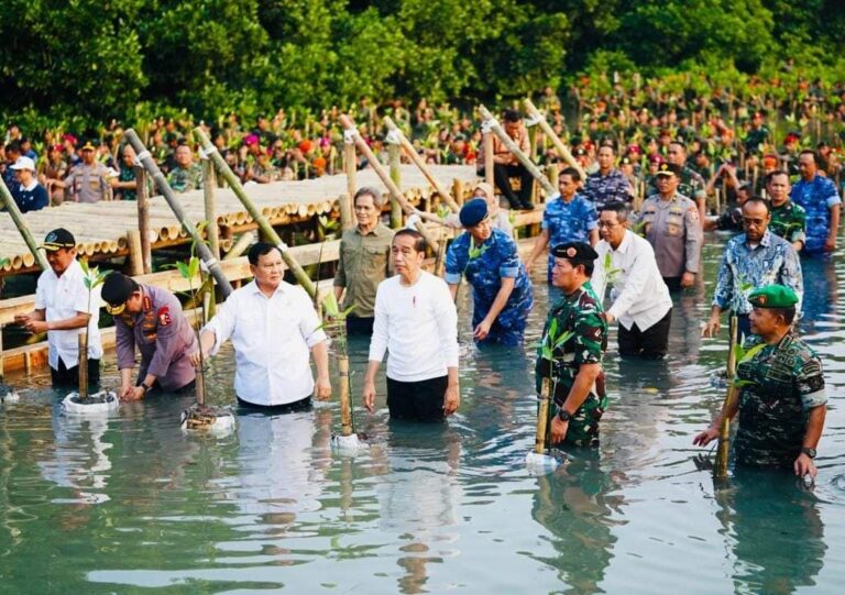 Indonesia Punya Hutan Mangrove Terluas, Jokowi: Harus kita Rawat