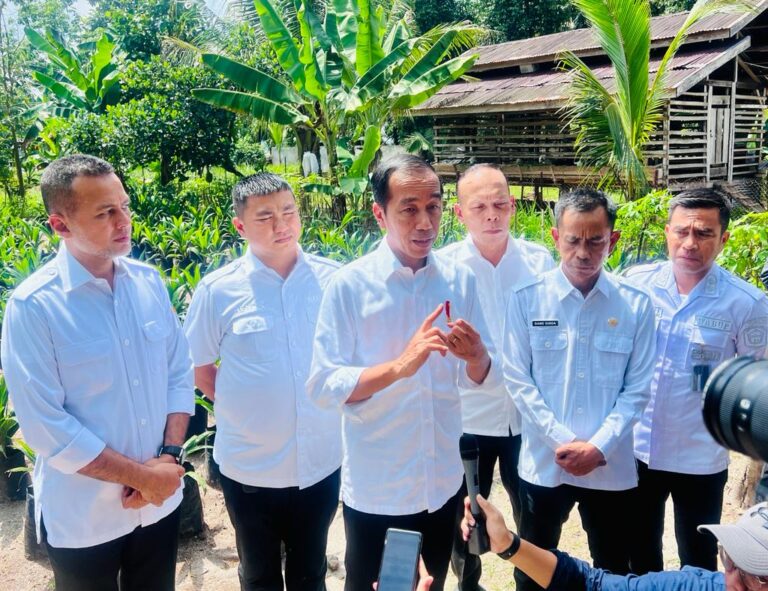 Perbaiki Jalan Rusak, Jokowi: Jangan Sampai Ganggu Jalur Logistik