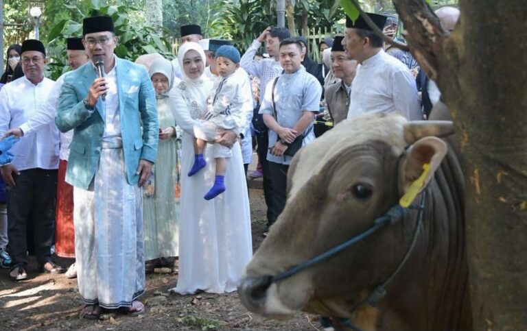 Tinjau Pemotongan Hewan Kurban, Ridwan Kamil: Menandakan Ekonomi Umat Luar Biasa
