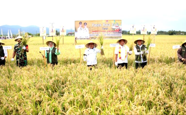 Panen Raya Padi di Banggai, Mendagri: Ini Bukti Kita Memiliki Kemampuan untuk Produksi