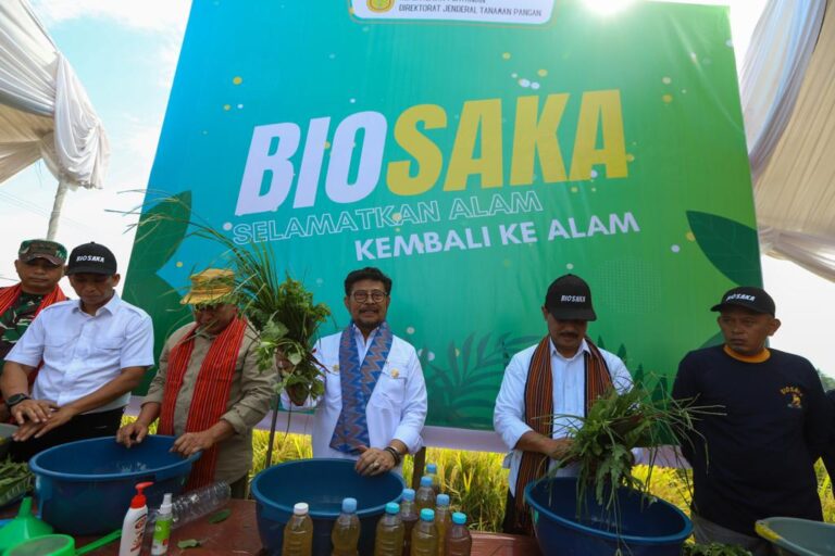 Pastikan Beras Aman, Mentan SYL Panen Padi dan Demonstrasikan Biosaka di Maros