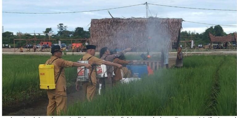 Budidaya Padi Zero Waste Plus Biosaka; Efisien, Produktif dan Ramah Lingkungan