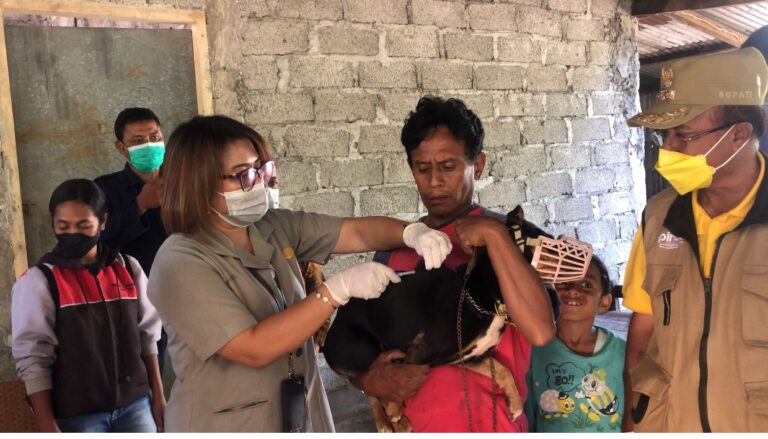 Kementan Lakukan Vaksinasi Massal Rabies di Timor Tengah Selatan