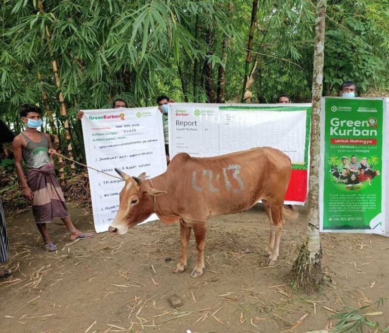 Krisis Pangan Rohingya; Sinergi Foundation Salurkan Kurban Tahun Ini