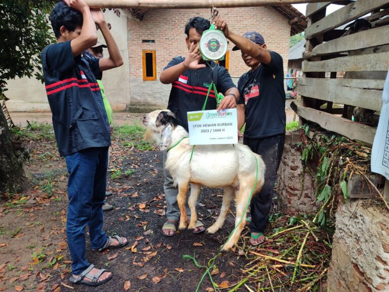 Jelang Idul Adha, Sinergi Foundation Lakukan Pemeriksaan Hewan Kurban