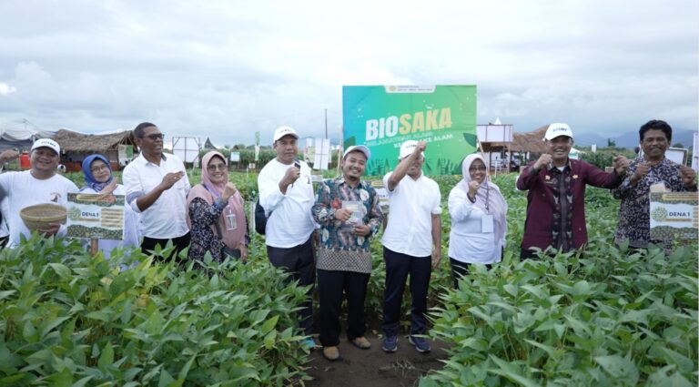 Gelar teknologi sekaligus Panen Kacang Hijau di Penas Sumbar
