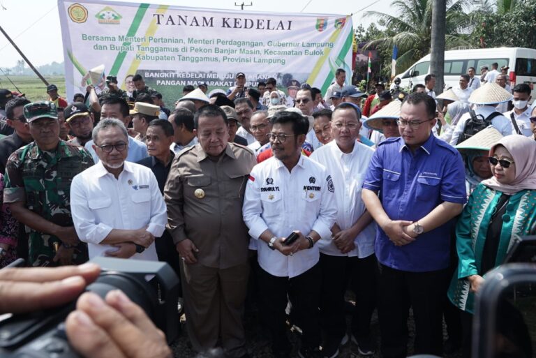 Mendag Jamin Harga Kedelai Tinggi, Ini syaratnya