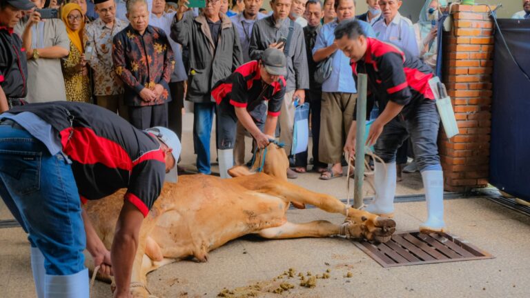 Kementan Sosialisasikan Pelaksanaan Kurban di Tengah Kewaspadaan Penyakit Hewan