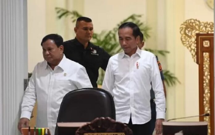 Jokowi Panggil Prabowo Klarifikasi Proposal Damai Ukraina-Rusia