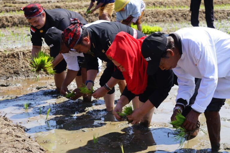 SYL: Panen dan Tanam Padi di Semarang Perkuat Ketersediaan Pangan Hadapi Elnino