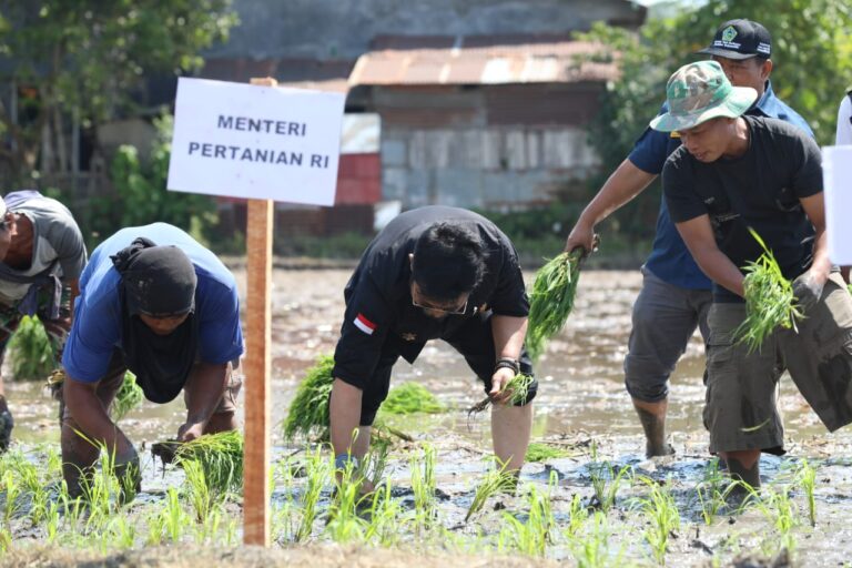 Percepatan Tanam Padi di Gowa, SYL Minta Pemerintah Daerah Perkuat Pangan Nasional Hadapi Elnino