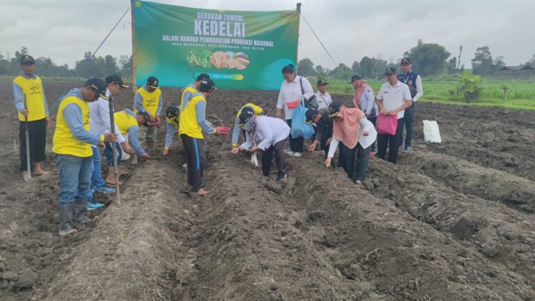 Upaya Kementan Dukung Produksi Kedelai Nasional di Kabupaten Blitar