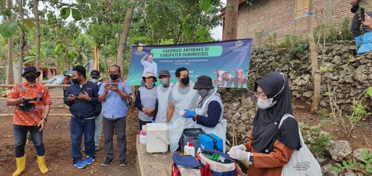Ini Langkah Pemerintah Kendalikan Antraks di Gunung Kidul