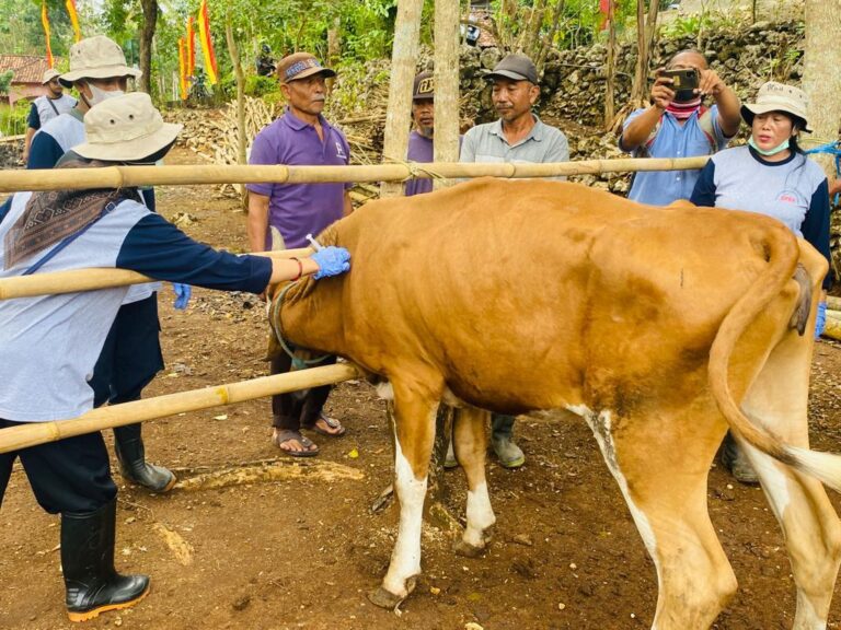 Peternak Gunungkidul Apresiasi Gerak Cepat pemerintah Tangani Antraks