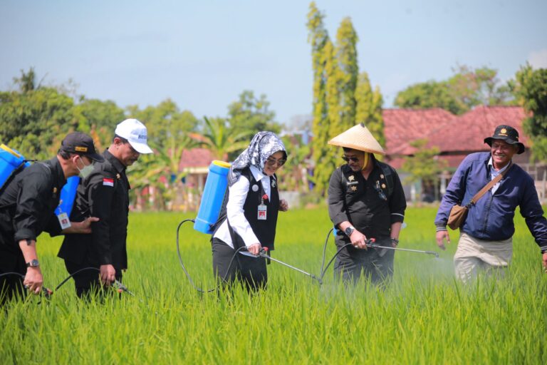 Hadapi Hama WBC, SYL Imbau Petani di Klaten Gunakan Pengendali Hama Ramah Lingkungan
