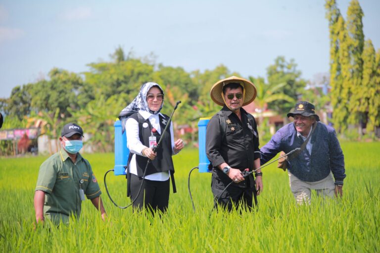 SYL Tinjau Penanganan Hama Wereng di Kabupaten Klaten