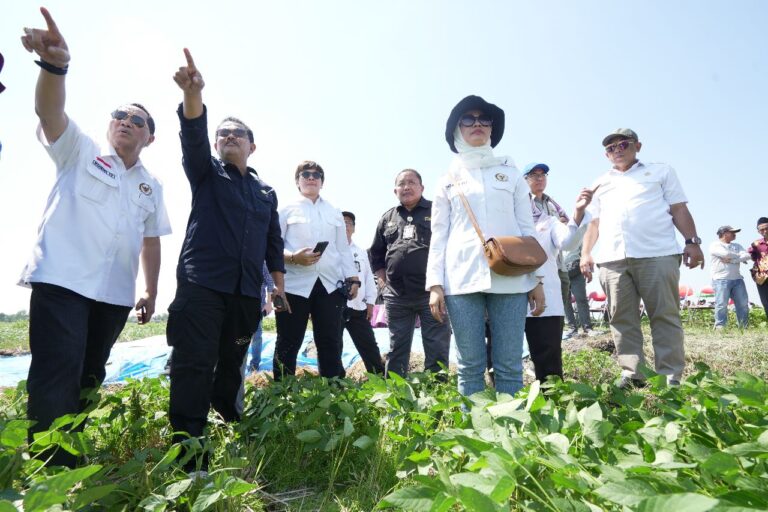 Komisi IV DPR Setuju Pengembangan Kedelai di Seluruh Indonesia