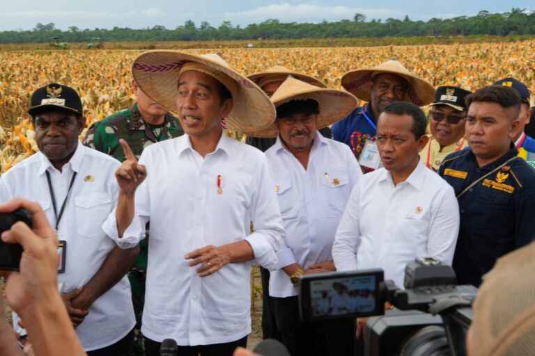 Jokowi Harap Food Estate Keerom Bisa Penuhi Kebutuhan Jagung Nasional
