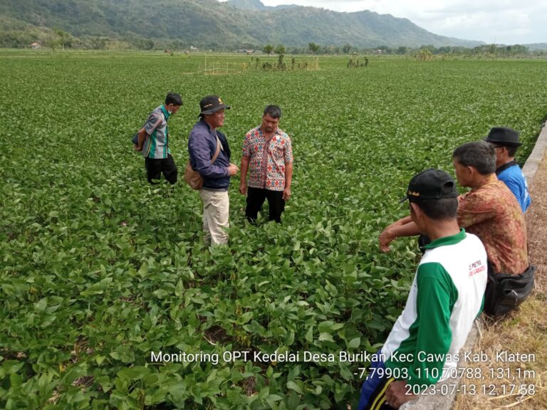 BBPOPT Lakukan Bakti Tani di Sukoharjo dan Klaten