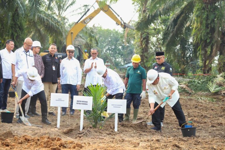 SYL Dorong Peremajaan Sawit dan Perkebunan Partisipatif di Serdang Bedagai