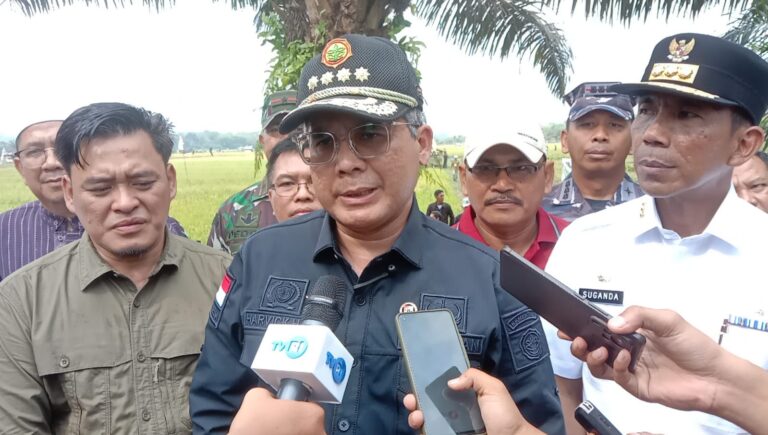 Panen Padi di Babel, Wamentan Minta Daerah Perkuat Pangan Nasional