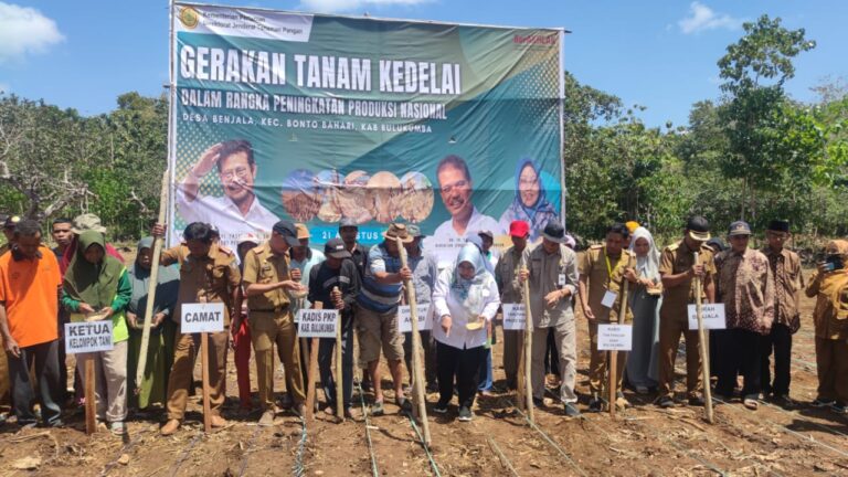 Sosialisasi dan Gertam Kedelai Mendukung Produksi Kedelai Nasional di Bulukumba