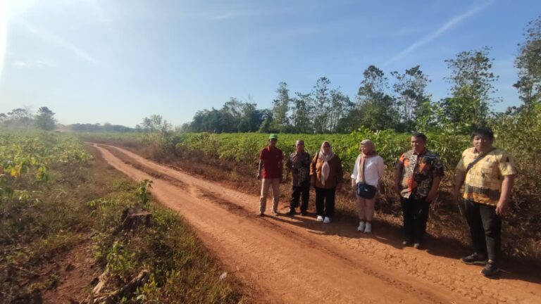 Kementan Lakukan Gerakan Panen Ubi Kayu di Kabupaten Gowa