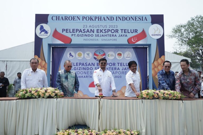 Menyusul Karkas Ayam Beku dan DOC, Indonesia Berhasil Ekspor Telur ke Singapura