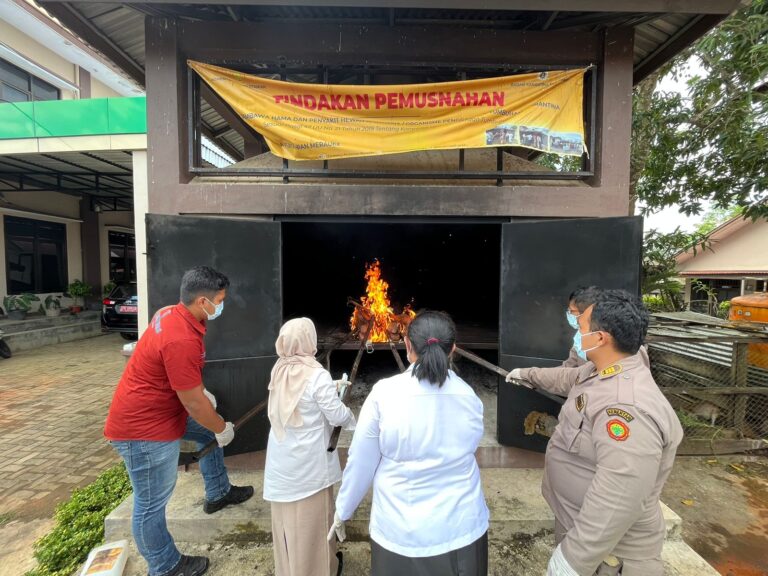 Karantina Pertanian Merauke Lakukan Pemusnahan dan Serah Terima Satwa Endemik