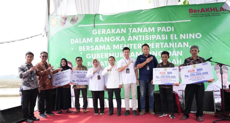 Antisipasi Dampak El Nino, Mentan Dorong Percepatan Tanam Padi di Lampung