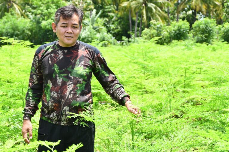 Melejit di Pasar Ekspor, Kementan Genjot Pengembangan Hulu-Hilir Kelor dan Minat Generasi Muda