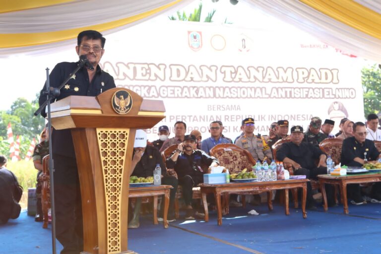 Mitigasi El Nino, Mentan SYL Panen Padi dan Gerakan Tanam Padi di Barito Kuala