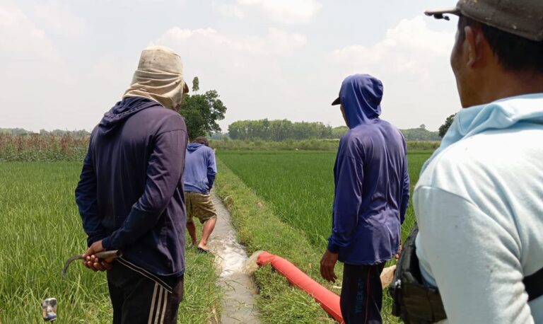 Respon Cepat, Kementan Lakukan Pemantauan Lahan Kekeringan di Areal Pesawahan Oku Timur