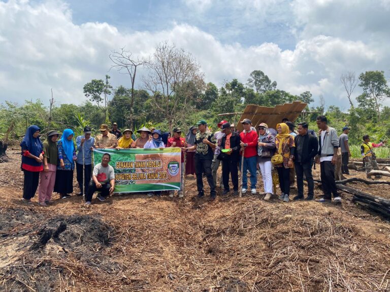 Dukung Peningkatan Produksi Nasional, Bengkulu Lakukan Gerakan Tanam Kedelai
