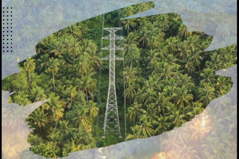 PLN Luncurkan Laporan TCFD Pertama untuk Mendukung Transisi Energi Rendah Karbon