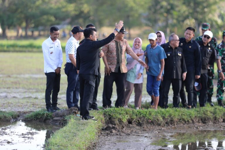 Mentan SYL Cek Tanam Padi Kabupaten Gowa, Pastikan Produksi Penyangga Pangan Nasional Aman Berjalan Baik