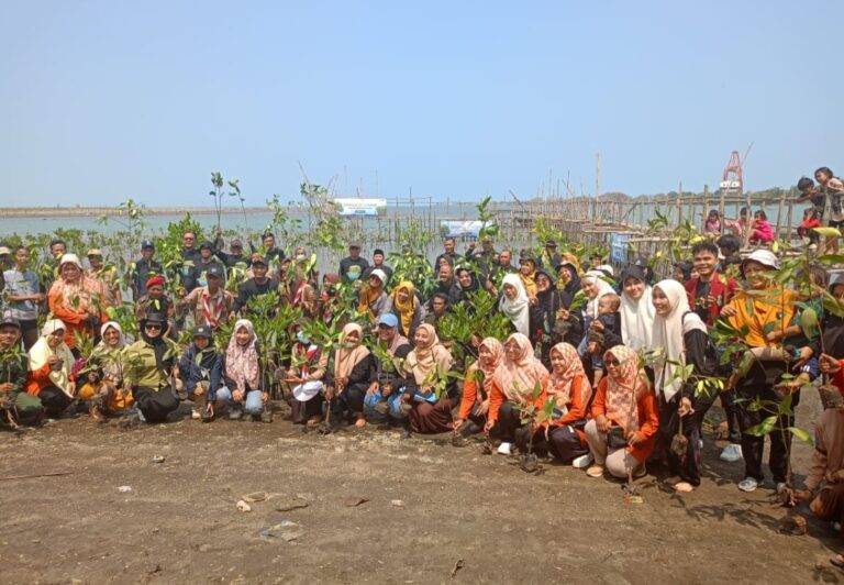 Gandeng Dompet Dhuafa, PWNA Banten Serentak Tanam 1000 Bibit Mangrove