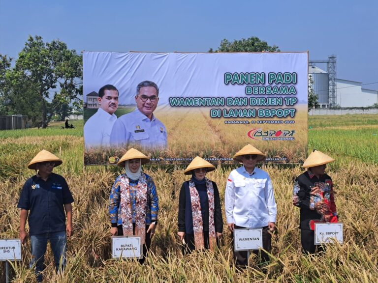 Di Karawang, Wamentan Panen Padi, Tanam Kedelai Hingga Cek Perairan