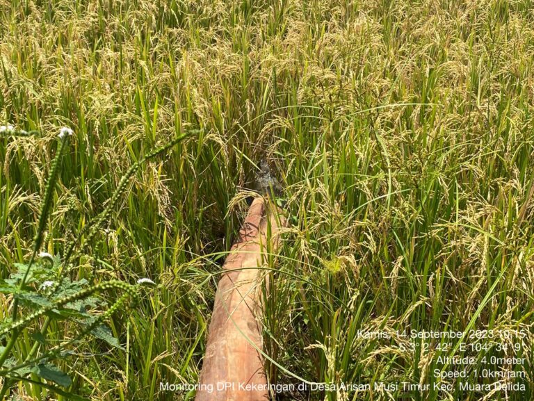 Monitoring Sebagai Upaya Antisipasi Kekeringan di Kecamatan Muara Belida Kabupaten Muara Enim