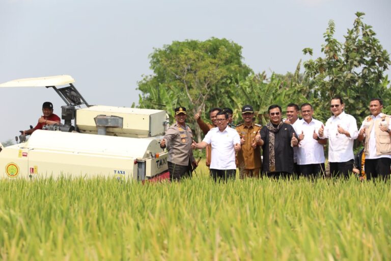 Plt Mentan Panen Raya dan Tanam Padi di Sukoharjo