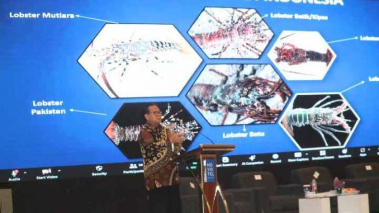 FGD Badan PPD Lampung, Prof Rokhmin beberkan Strategi Pengelolaan Sumber Daya Lobster Berkelanjutan