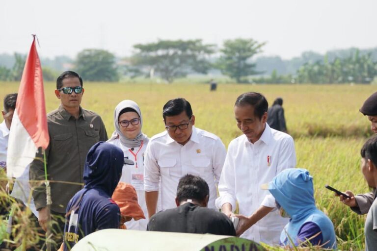 Jokowi Bersama Plt Mentan Panen di Indramayu, Petani Termotivasi