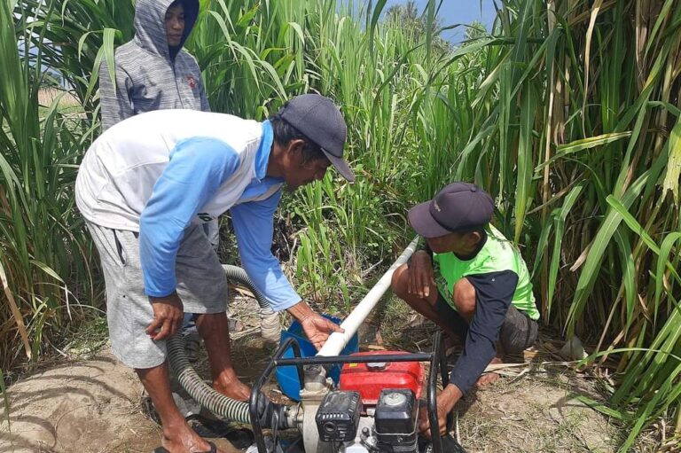 Kementan Dorong Pompanisasi Jaga Pertanaman di Masa El Nino