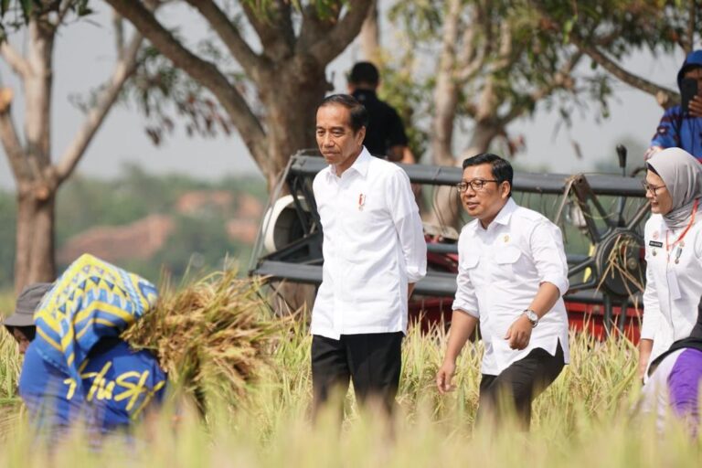 Plt Mentan: Panen Masih Banyak, Pastikan Beras Dalam Negeri Aman dan Terkendali
