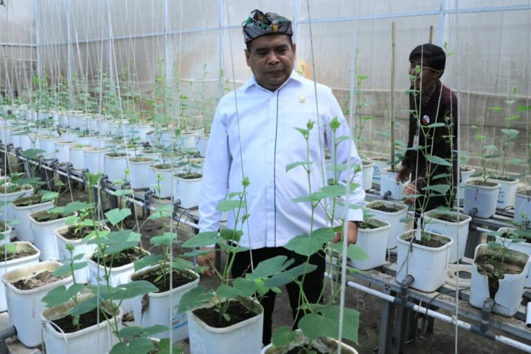 Wamendes Paiman Ajak Masyarakat Investasi Saham di BUMDesa