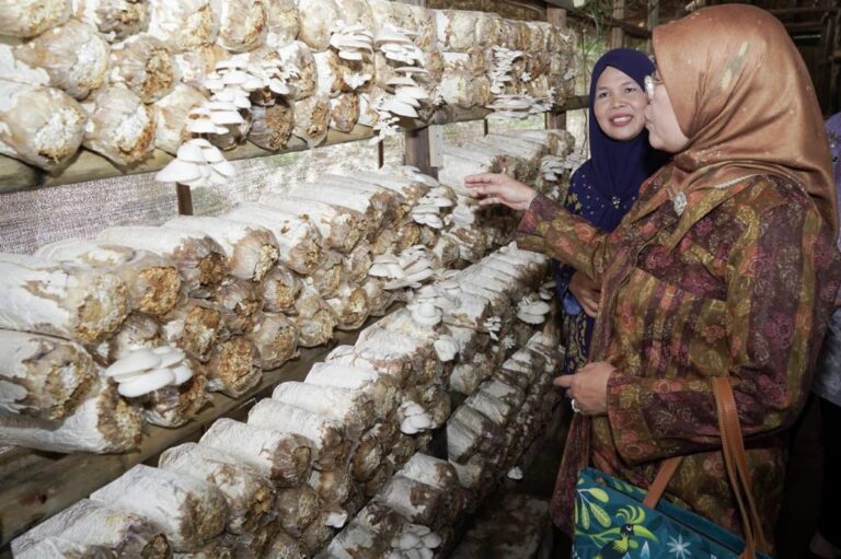 Dukung Hilirisasi, Kemenperin Tumbuhkan IKM Olahan Jamur Tiram